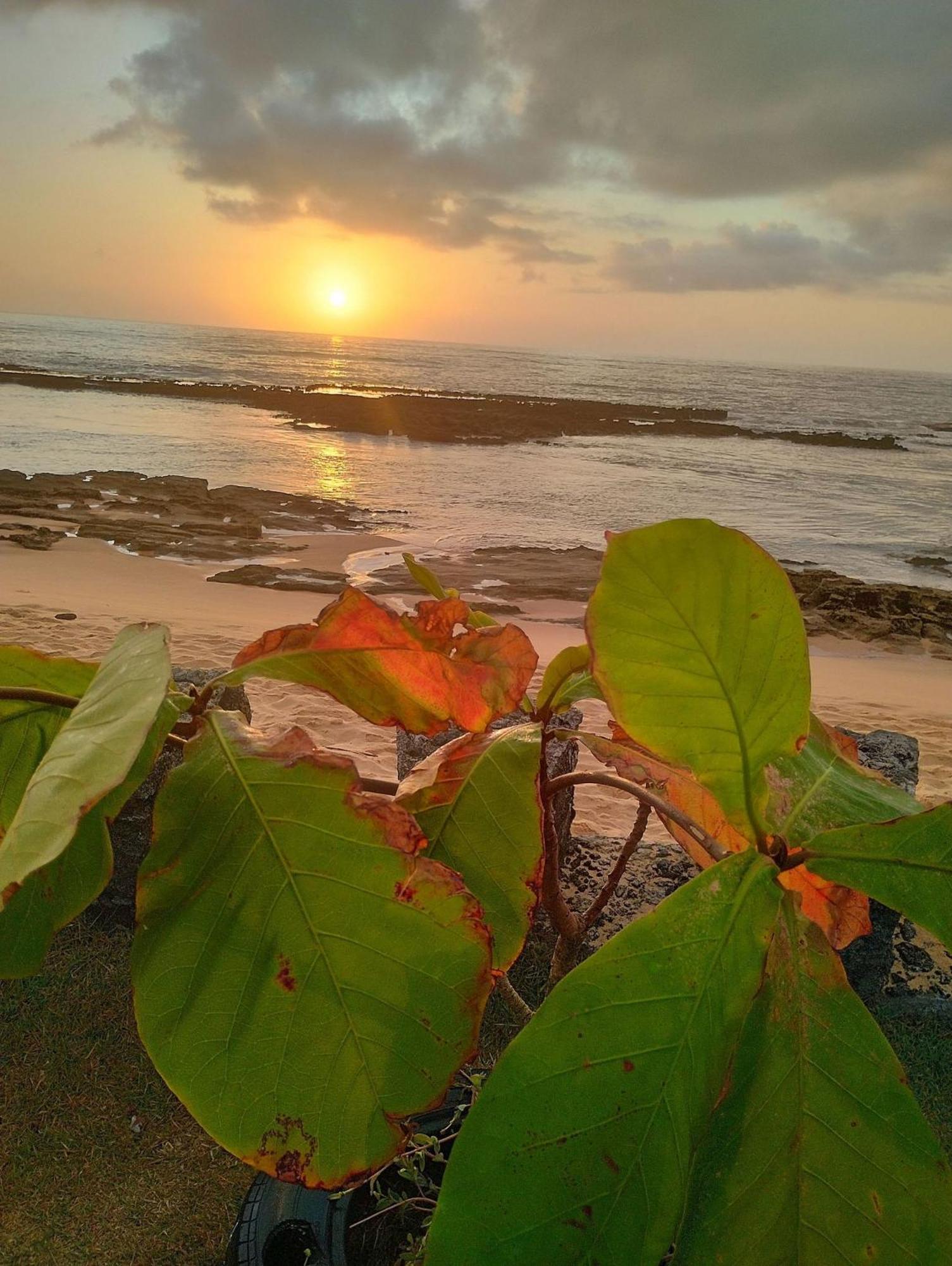Pousada Tropicalia Tranquilidade A Beira Mar ซานตาครูซ กาบราเลีย ภายนอก รูปภาพ